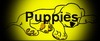Puppies available graphic on CanaDogs: Canadian dog breeders